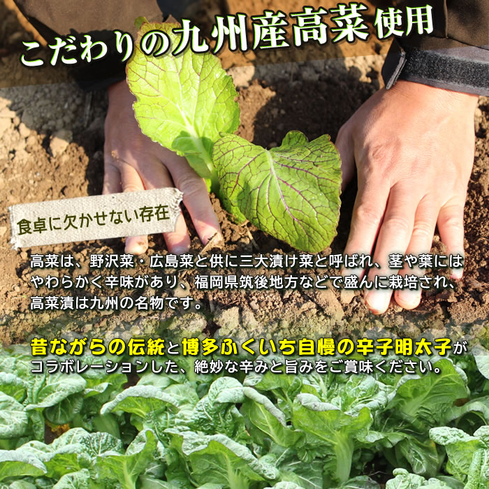 ウチのめんたい辛子高菜